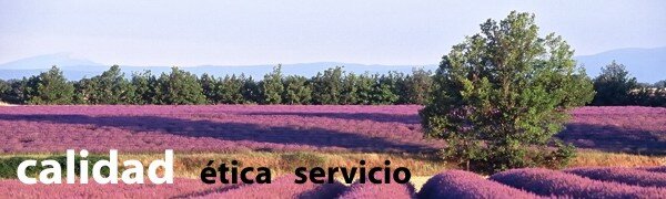 Calidad